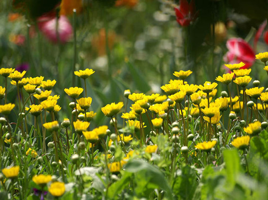 ���������������ů���_�����������C�����TƱ