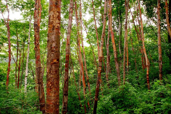 ���������������ů���_�����������C�����TƱ