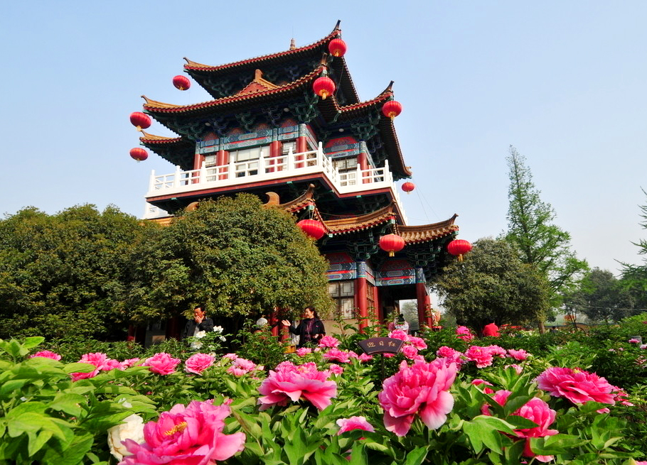 ��һС�L�ٵ�����^�pĵ��