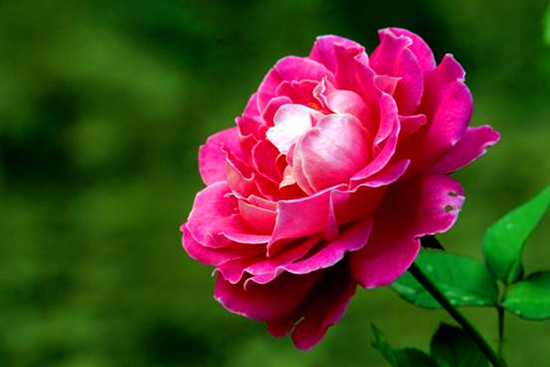 �������ݣ���ʮ�Ō��¼���չ��28�����¼����@�_Ļ