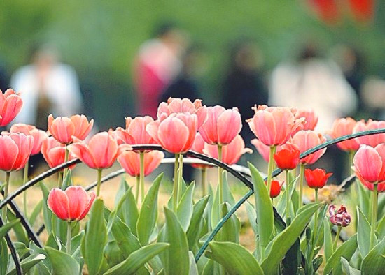 ���p������αص����m �����^�p�����]