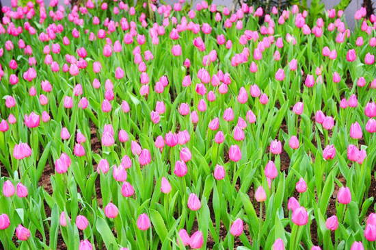 ���p������αص����m �����^�p�����]