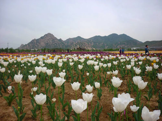 ���p������αص����m �����^�p�����]