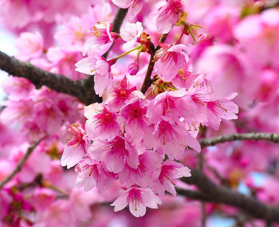 �����p����·�� &ldquo;��һ&rdquo;���ξ�·�r���ϝq