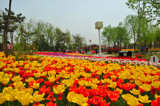 5�@ָ��-���ݾG���@��(n��i)������