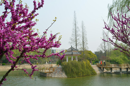 5�@�p��ָ��&mdash;&mdash;���Gɽ���@���G���`�Š��G