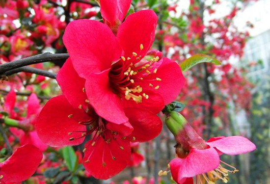 5�@�p��ָ��&mdash;&mdash;���ݱ�ɳ�����@����