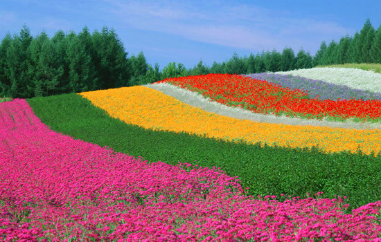 5�@�p��ָ��-�ٻ��R�ŵĴ���