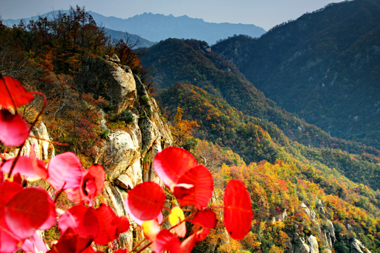 ���M(j��n)ԭ���B(t��i)��¶ɽ �^�p��ԭ��һ�ٲ�