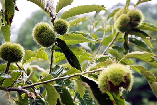 ���M(j��n)ԭ���B(t��i)��¶ɽ �^�p��ԭ��һ�ٲ�