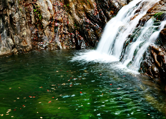 ���M(j��n)ԭ���B(t��i)��¶ɽ �^�p��ԭ��һ�ٲ�