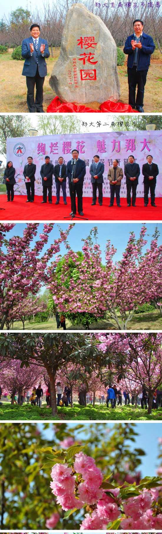 2013�����ݴ�W(xu��)�����Ùѻ��Ļ���(ji��)���������e�k