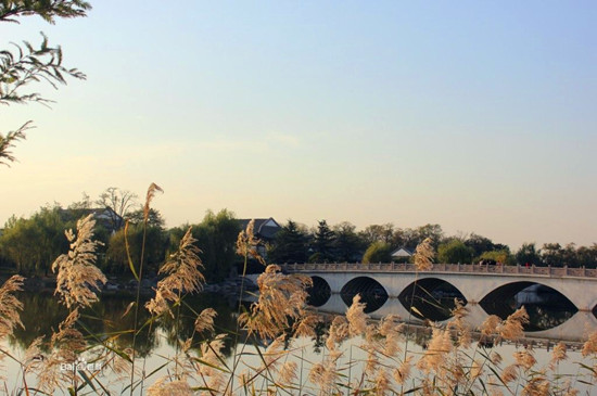 ����&ldquo;�T��֮��&rdquo;���]��