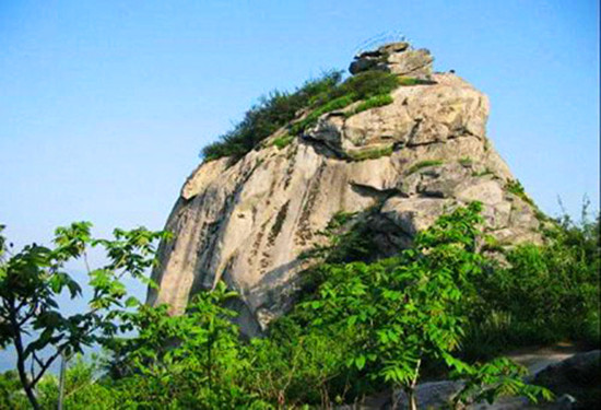 �������� ��������ȥ