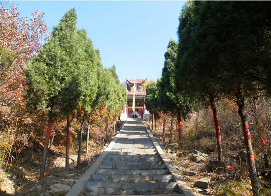 �Ƿ����`ɽ���{���ι���