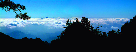 ��ꖰ���ɽ�Ї����������ۃ�(y��u)��