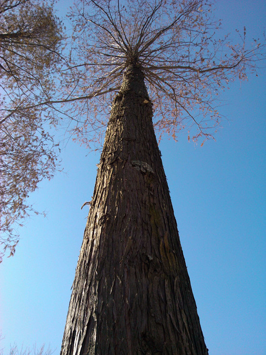 �`������ɽ���ι���