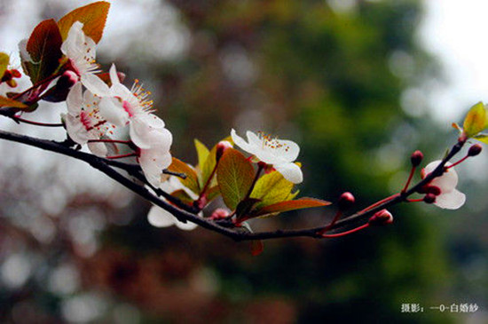 Ů���绨 �S����������p��ȥ