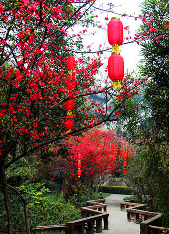 Ů���绨 �S����������p��ȥ