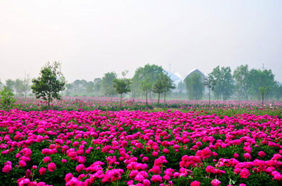 Ů���绨 �S����������p��ȥ