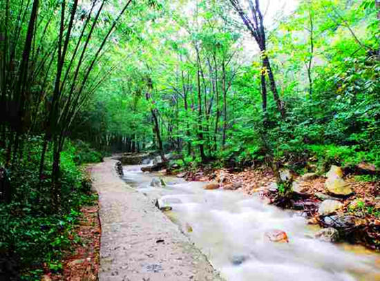 ��������� ���Ͼ��^(q��)��(y��u)�ݴ�P�c