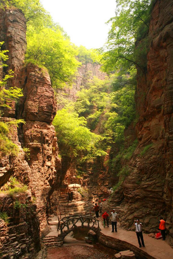 ����ͽ��·�����]