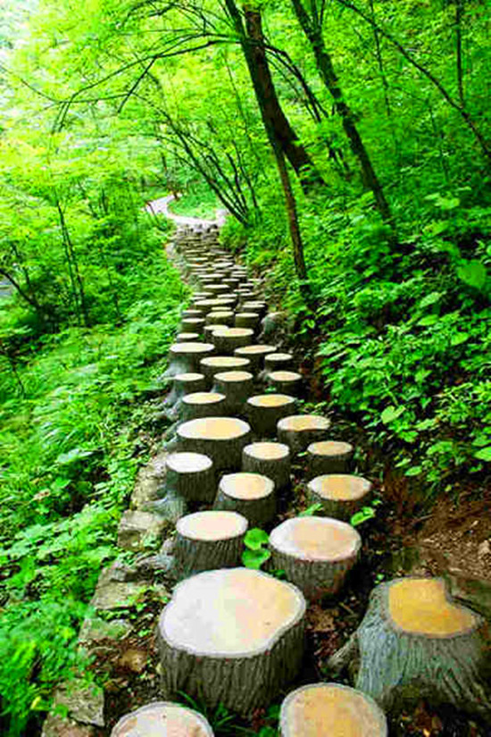 ����ͽ��·��(xi��n)���]