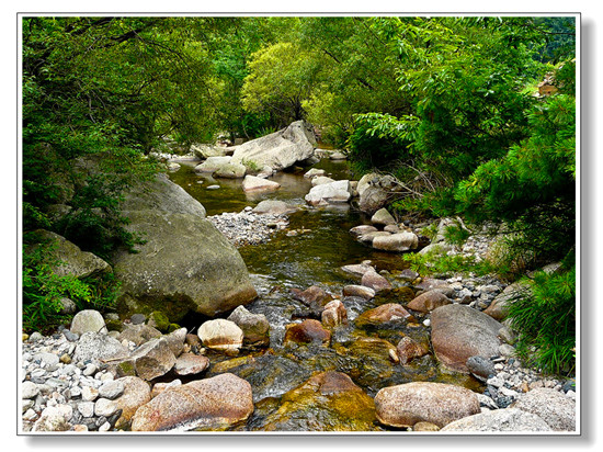 ����ͽ��·�����]