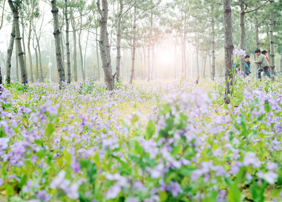 ���ݾG���@���e�k�����ö����Ļ���(ji��)