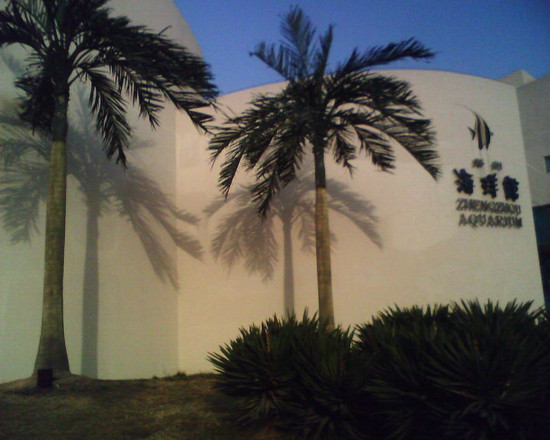 ��һ��ͯ��(ji��)�����H�����κó�ȥ