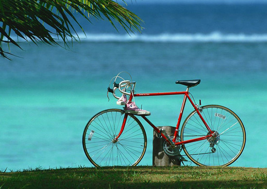 ���³������ �����Α�(y��ng)������(zh��n)��