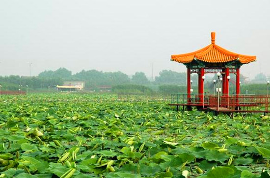 &ldquo;��ԭ�����꿨&rdquo;��������ԭ&mdash;5A���^(q��)ƪ