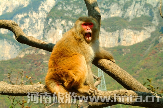 ��(j��)Դ������ӭ��һ�ػݻ��(d��ng)