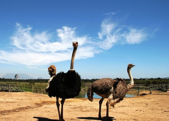 ��������ȥ���� ĸ�H��(ji��)���Ͼ��^(q��)�ж��ػ�