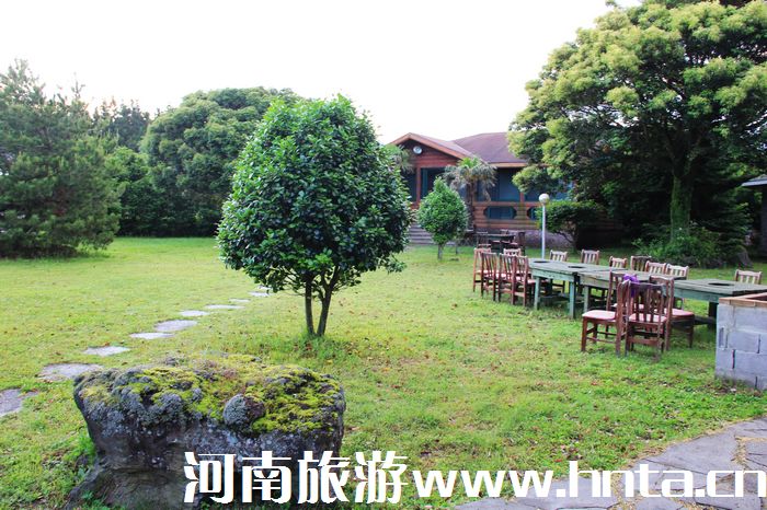 �����w���ݍu���ΰ��C