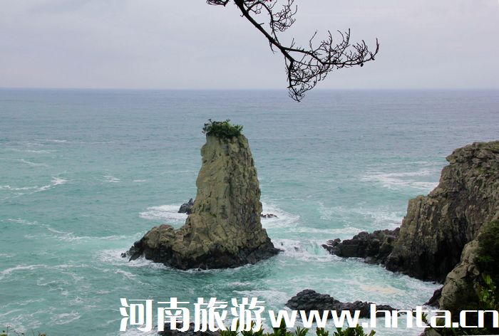 �����w���ݍu���ΰ��C