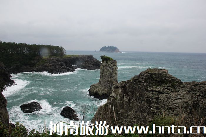 �����w���ݍu���ΰ��C