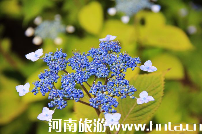 �����w��(j��)�ݍu���ΰ��C(j��)