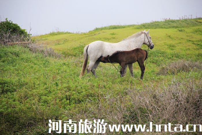 �������n��(gu��)��(j��)�ݍu���C(j��)��ӛ����