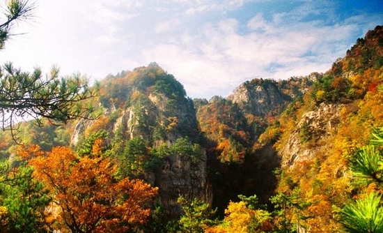 ���{�Ͼ����߿��W(xu��)�����TƱ