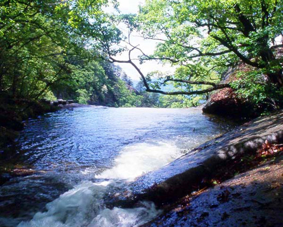 ��ĩ������߅������