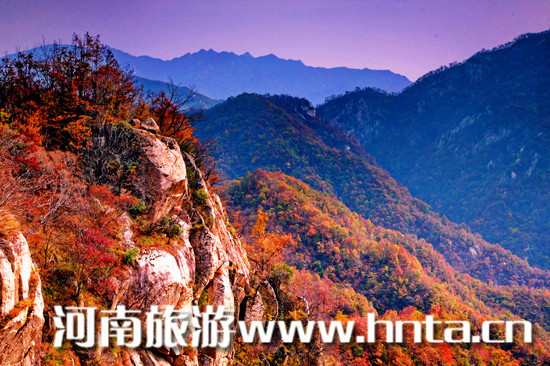 �̎�������(y��u)��������