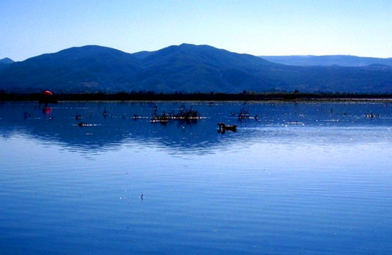 �߿����(l��i)���� �@��(g��)����ȥ����