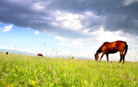 �߿�������� �@��(g��)����ȥ����