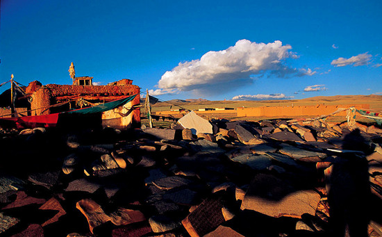 ������������ �M(j��n)��ע�����