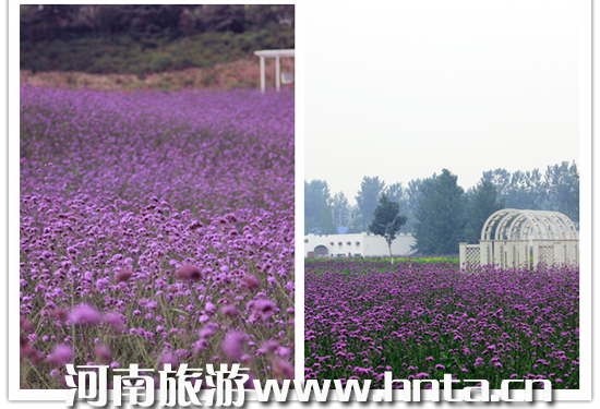 �@��(g��)��Ϧȥ���� ��Ϧ�����������]