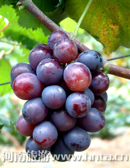 �����&ldquo;�S�Ӹ������ѹ�(ji��)&rdquo;8��18���_Ļ