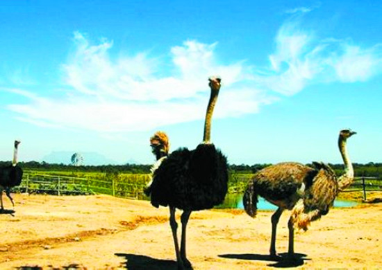 ��ĩС�������κ��ϣ�һ��