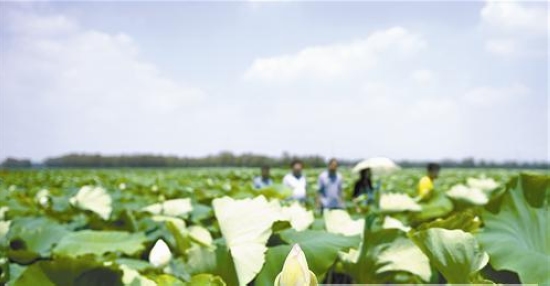 �����l(xi��ng)��ɻ���M��