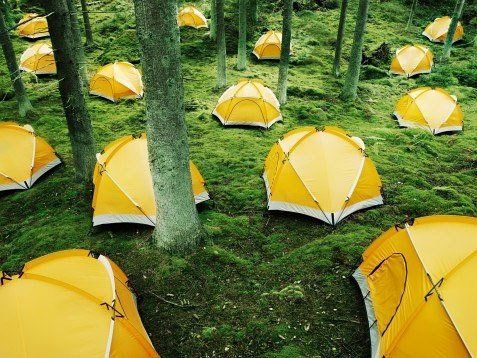 ���ː����������� ʡ��(n��i)��Ϧ�G�����е����]